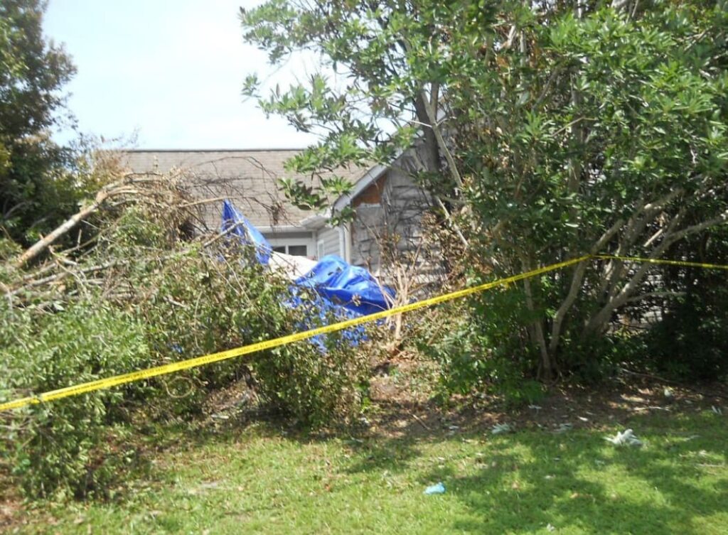 A blue tarp covers wreckage in a residential yard surrounded by dense vegetation and broken tree branches. Yellow caution tape cordons off the scene in front of a light-colored house.